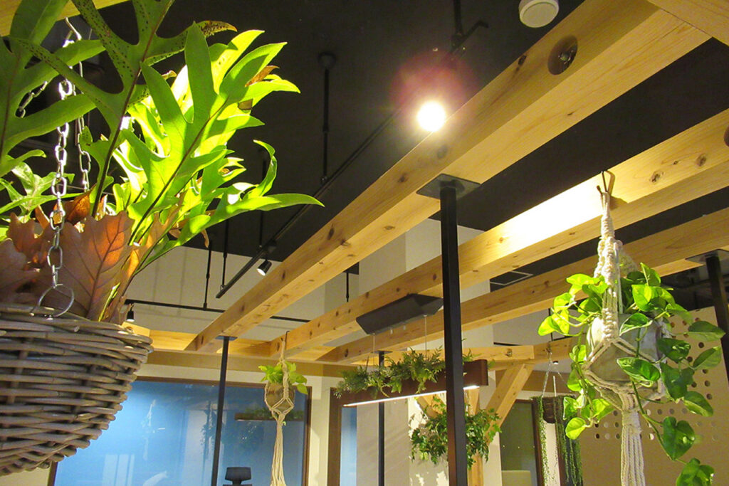 オープン・マインド・テクノロジーズ・ジャパン本社 内装緑化