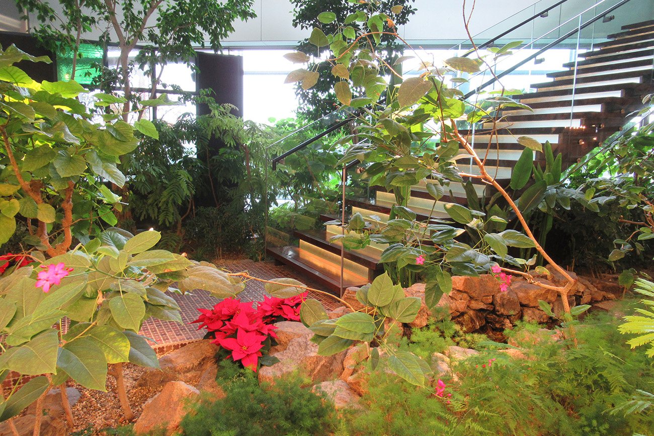 シティダイニング くうてん『商業施設の植栽管理業務』 | 日比谷花壇の